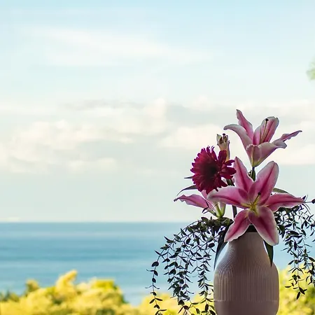 Anastasia Country house Koroni (Messinia)